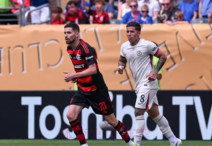 世界杯比利时凯恩焦点对决全面分析 世界杯比利时凯恩焦点对决全面分析