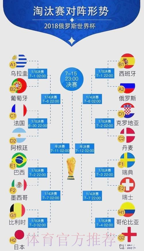 世界杯比赛结果怎么看